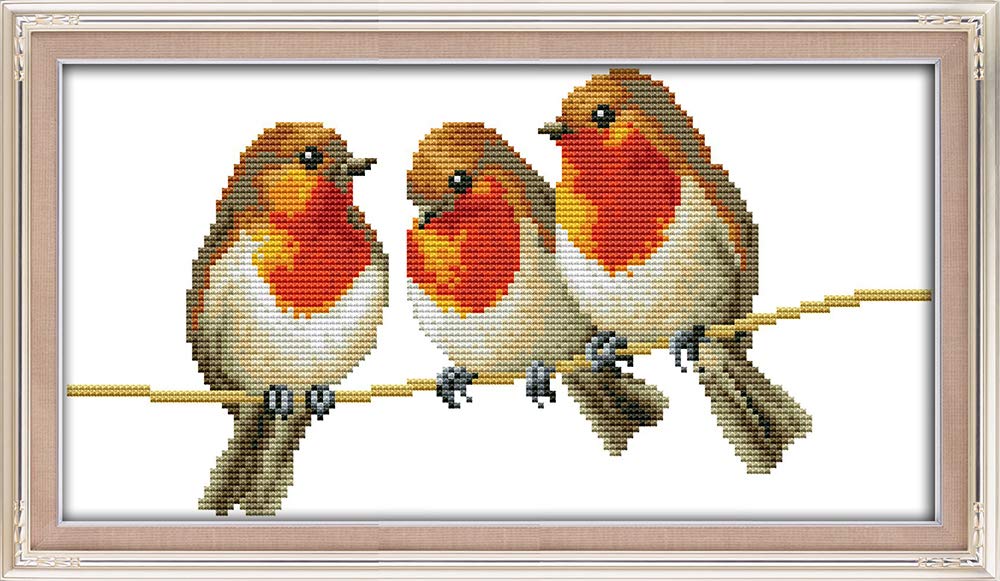 Awesocrafts Unstamped Cross Stitch Kits, Three Little Birds Easy Patterns Cross Stitching Embroidery Kit Supplies, Counted Options for Adults Beginners Kids Gifts (Birds, Counted)