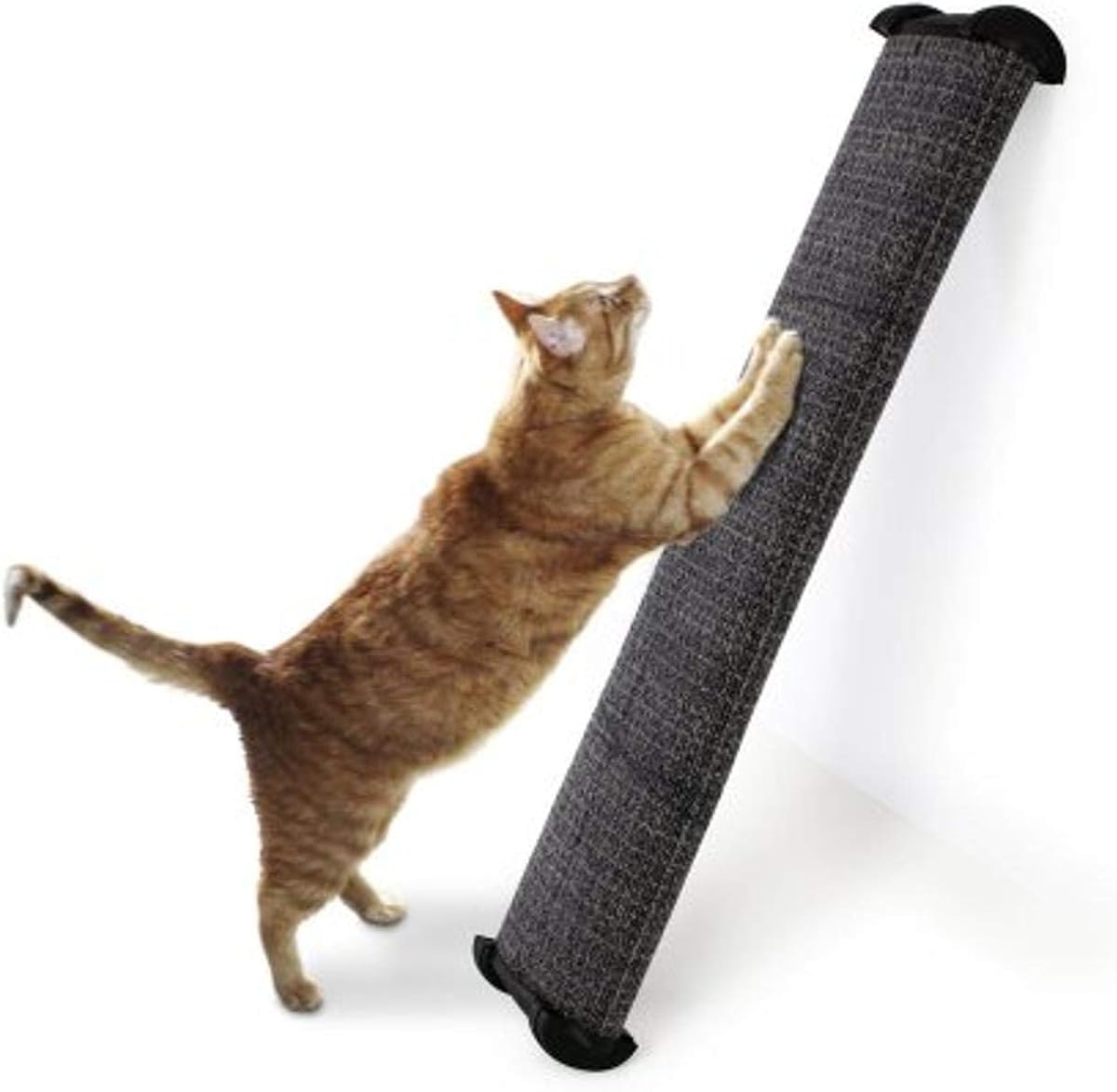 Omega Paw Lean-It Everywhere Scratch Post, couleurs assorties, 25 pouces