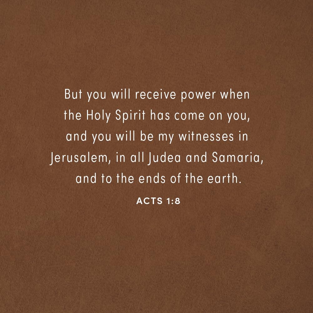 The Gospel on the Ground: The Grit and Glory of the Early Church in Acts - Bible Study for Women with Video Access The Gospel on the Ground: The Grit and Glory of the Early Church in Acts - Bible Study for Women with Video Access Paperback