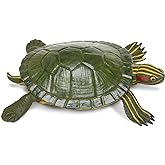 Safari Ltd. Red-Eared Slider Turtle Toy - 5.25 Inch Reptile Figure for Kids | 5.25 Inches Long x 4 Inches Wide, Ages 3+, Safety Tested, BPA Free PVC, Reptile Play, Classroom Turtle Study, Terrarium Decor