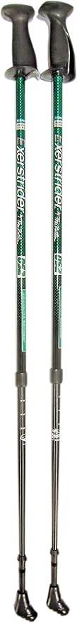 exerstrider poles