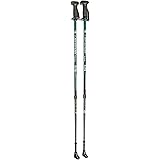 exerstrider walking poles