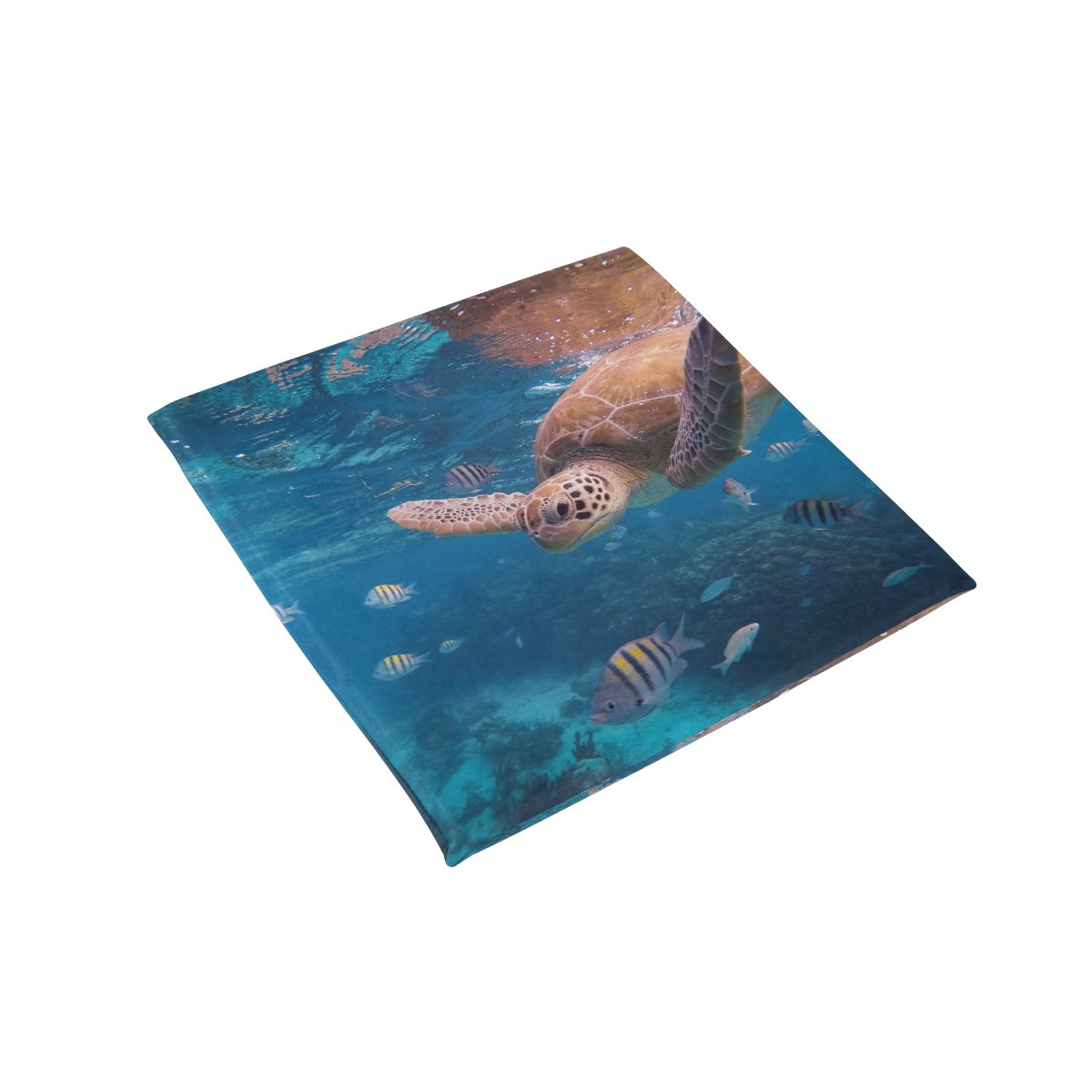 Amazoncom PLAO Chair Pads Ocean Turtle Soft Seat Cushions Nonslip