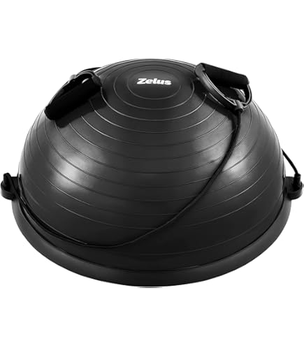 MERRITHEW Rotational Disk, Pair (10 inch / 24.4 cm