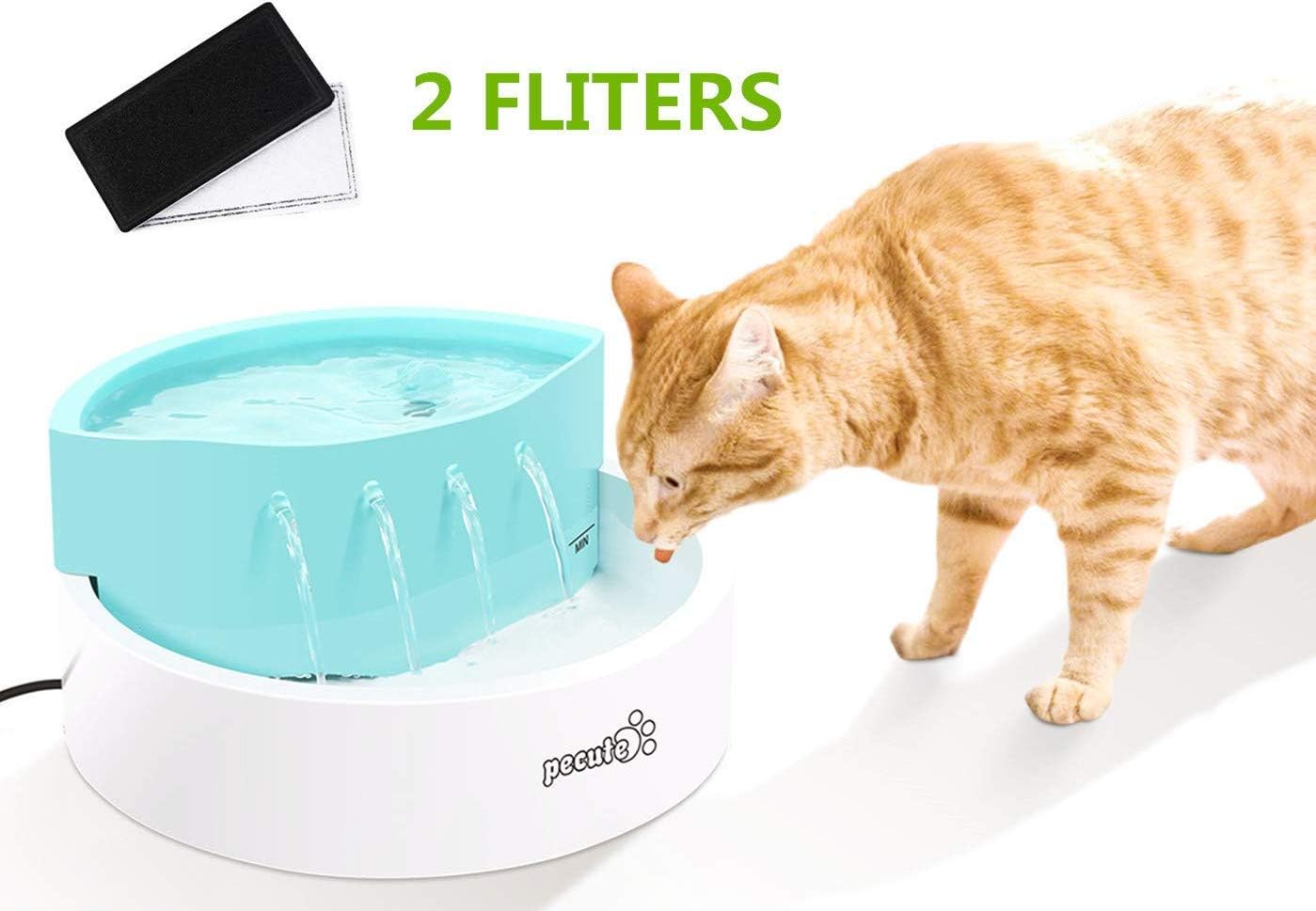 small cat drinking fountain