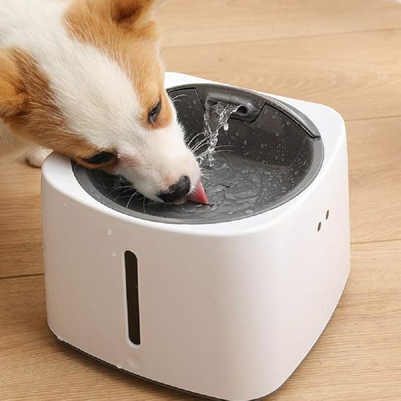 hills adult dog food