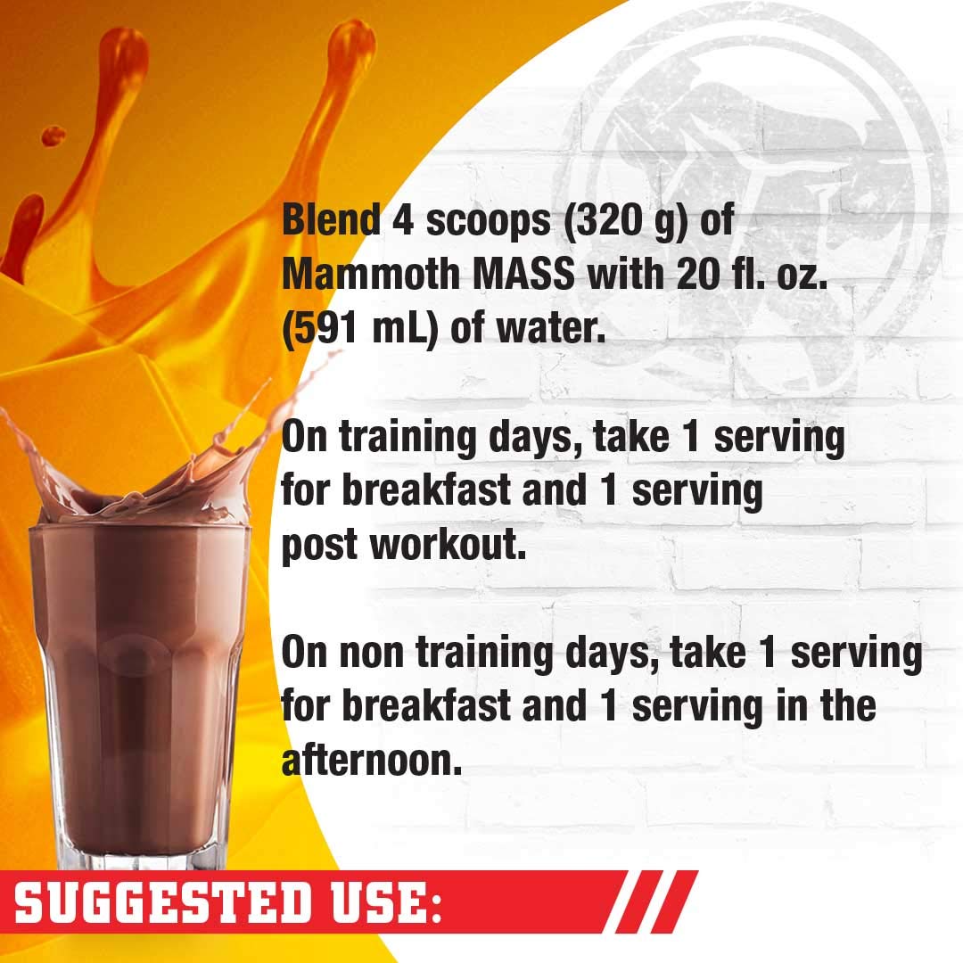 Mammoth Mass: Weight Gainer, High Calorie Protein Powder Workout Smoothie Shake, Low Sugar, Whey Isolate Concentrate, Casein Protein Blend, Weight Training, High Protein (Chocolate, 5lb)