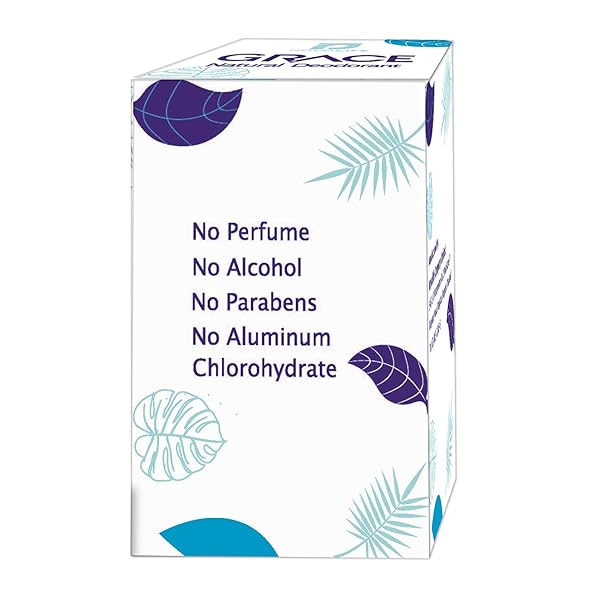 NOVOLIFE ALUM STONE DEODORANT NATURAL 70G
