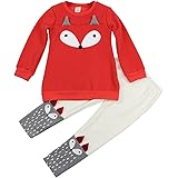 Jastore Baby Girl 2PCS Cartoon Fox Clothing Set Long Sleeve Sweater +Pants