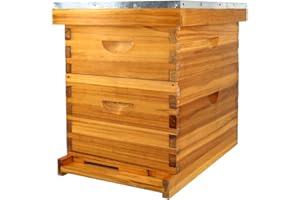 ThxBees 8 Frame Bee Hive Complete Beehive Kit Dipped in Beeswax Include Beehive Frames and Waxed Foundation Sheets for Beekeeping (1 Deep Brood & 1 Medium Super Bee Boxes)