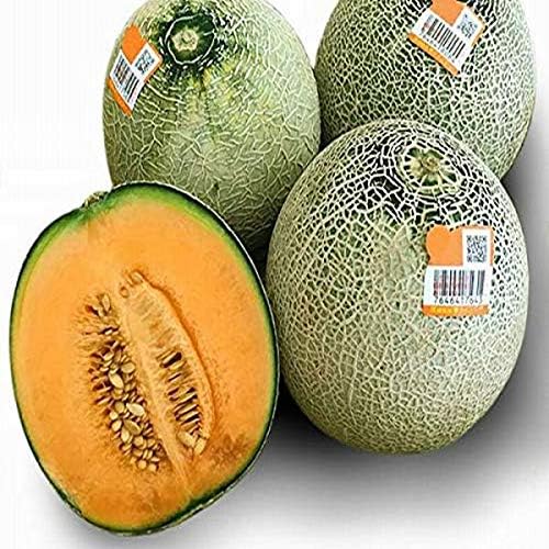 Amazon 産地厳選 メロン クインシーメロン 大きさおまかせ 箱売り 約5kg 808青果店 メロン 通販