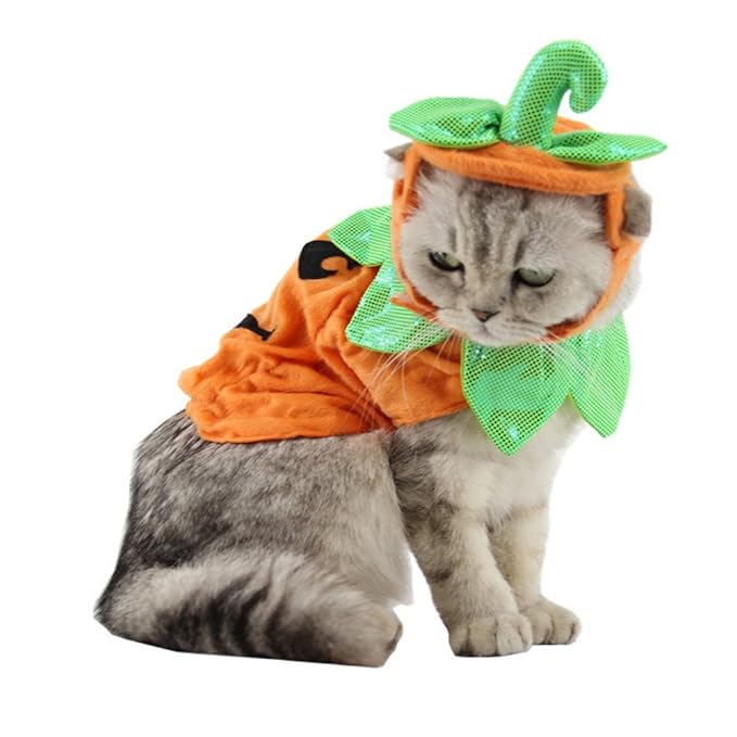 Jannyshop Halloween Kostüm Hundekostüm Katzenkostüm Kürbis Kostüm Rock Katzen mit Verstellbarem Band Süßer-Schöner-Haustierhu