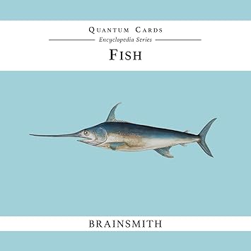 Brainsmith Quantum Flashcards, Fish - Learning Flash Card Set for Toddlers and Kids (8 months to 8 years) for Visual Memory and Brain Development