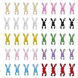 HOBBIESAY 40Pcs 10 Colors Skull Rabbit Nail Art