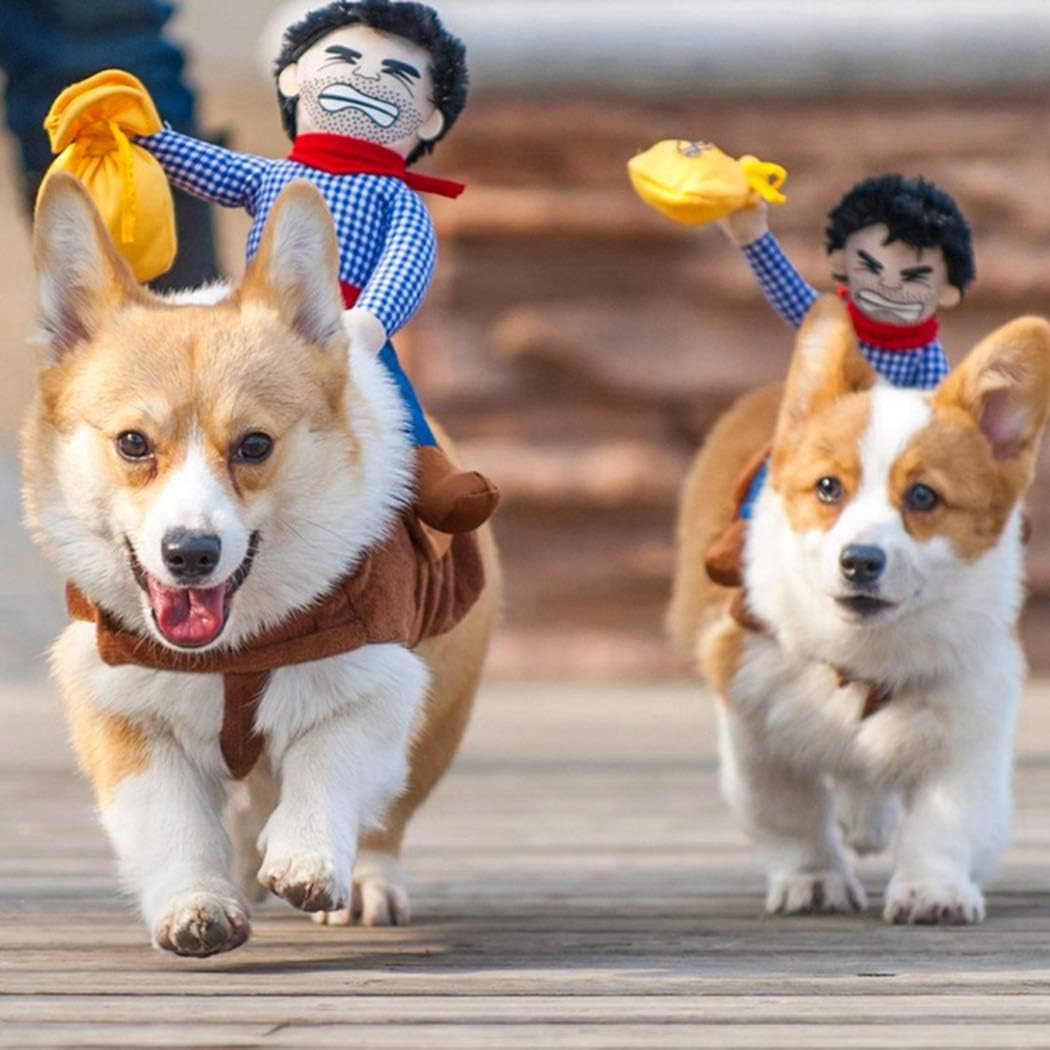 XIAOYU Pet Dog Cat Halloween Costume, Riding Horse Style Costume, Funny Pet Knight Style Clothing for Dog Cat Cosplay M - Image 5
