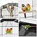 Yaheetech 59.3-inch Standing Medium Flight Bird Cage for Cockatiel Quaker Parrot Sun Parakeet Green Cheek Conures Finch Budgie Lovebird Parrotlet Canary Finch Pet Bird Cage with Standthumb 2