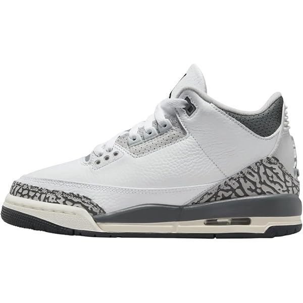 Amazon.com | Jordan Youth Air 3 Retro GS 398614 012 Cool