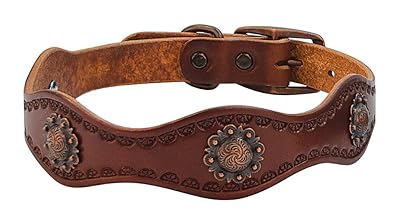 Weaver Leather Sundance Dog Collar, 3/4 x 15-Inch, Brown