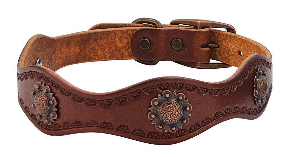 Weaver LeatherSundance Dog Collar