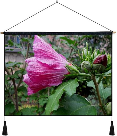 Amazon Co Jp 綿の麻 タペストリー 多機能 掛け軸 掛け物 横 80cmx60cm アオイ科の植物の花のつぼみ 個性 掛け軸 掛け物 掛けじく ポスター インテリア 組立式 部屋飾り壁 壁飾り ホーム キッチン