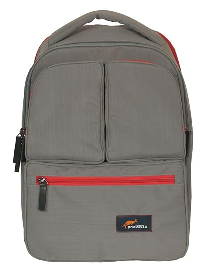 Protecta Organised Chaos PGY011HERE 15.5-inch Laptop Backpack (Gray and Red)