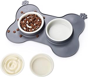 HOISTAC pet Dog Double Bowls with mat ,Slow Feeder Dog Bowls,Water and Food Feeder Bowls for Medium Sized Dog,cat,2 Dog Bowls  No Spill Non-Skid Silicone Mat ,Gray.