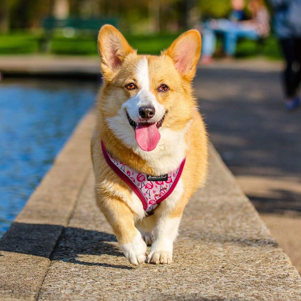 all pet solutions harness