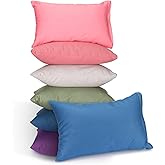 Kigley Mini Pillows for Daycare 9.1 x 13.8'' Small Travel Pillow Bulk Soft Breathable Cotton Pillow for School Nap Travel Pet Neck Lumbar Purse Insert
