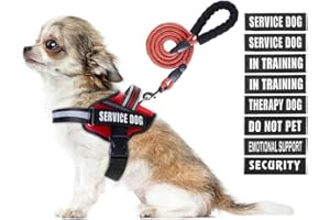 Service Dog Vest Harness and Leash Set, Animire in Training Dog Harness with 10 Dog Patches, Reflective Dog Leash with Soft Padded Handle for Small, Medium, Large, and Extra-Large Dogs (RED,XS)