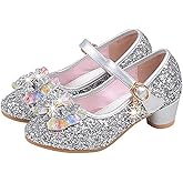 YING LAN Girl's Princess Cosplay Performance Shoes Sequins Wedding Party Dress Shoes Low Heeled Mary Jane