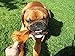 Pawstruck Pig Ears for Dogs - Bulk Pork Dental Treats & Dog Chews - 100 Ears