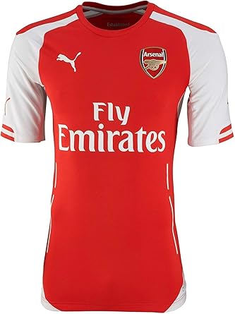 arsenal puma sale