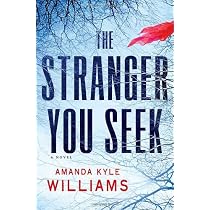 Stranger in the Room: A Novel (Keye Street): Williams, Amanda Kyle ...