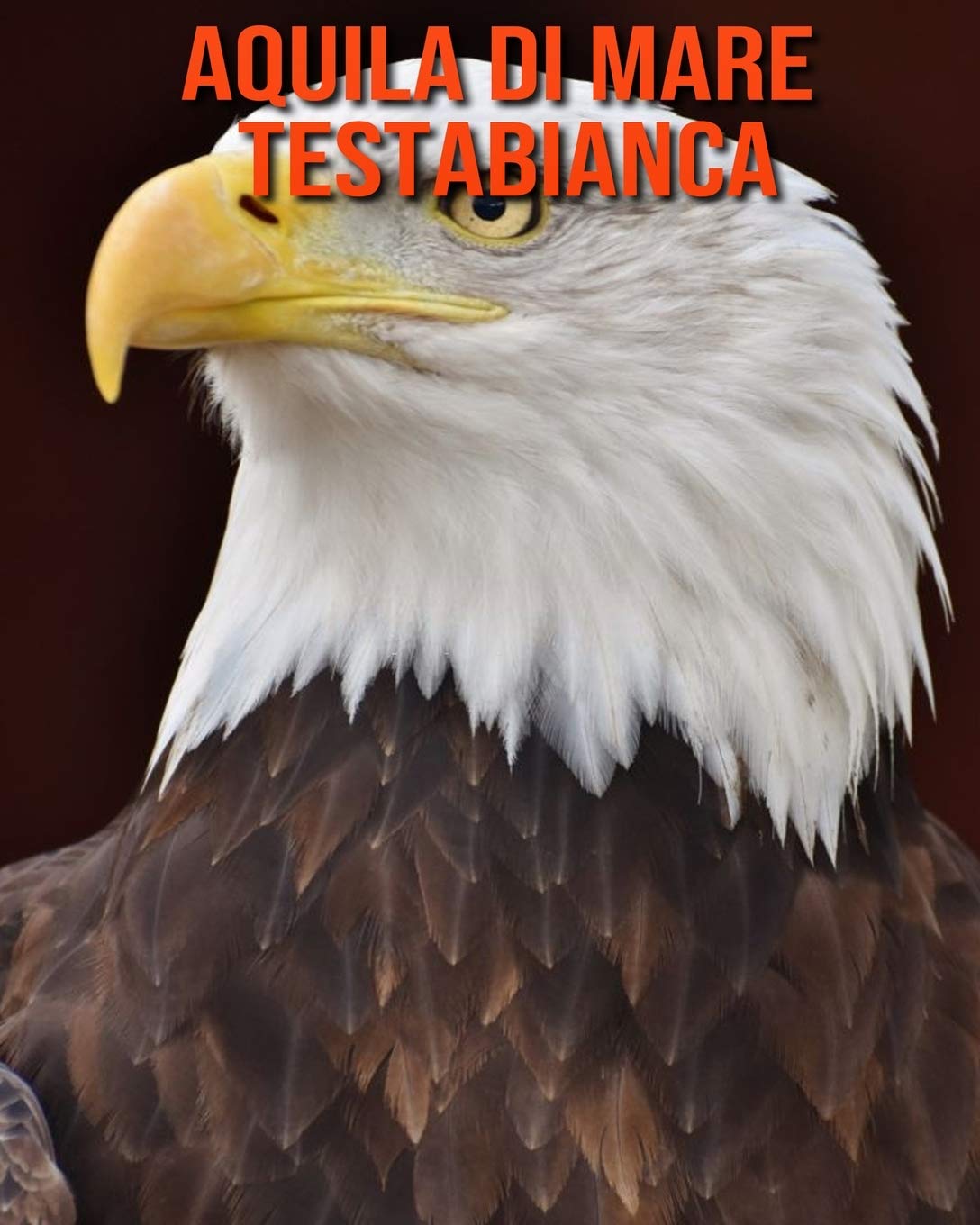 Amazon Aquila Di Mare Testabianca Foto Stupende E Fatti Divertenti Libro Sui Aquila Di Mare Testabianca Per Bambini Craig Kelly Teen Young Adult