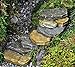 Georgetown Home & Garden Miniature Rock Stair Case Garden Decor (Discontinued by Manufacturer)