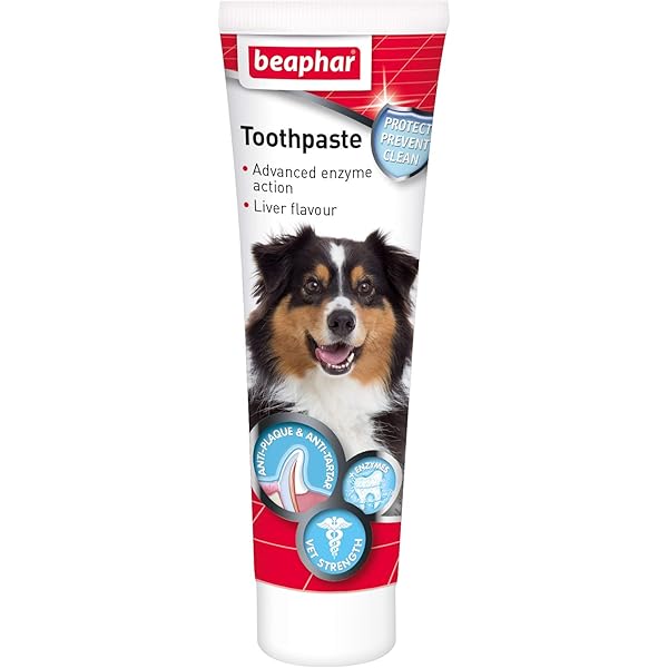 beaphar toothbrush and toothpaste kit