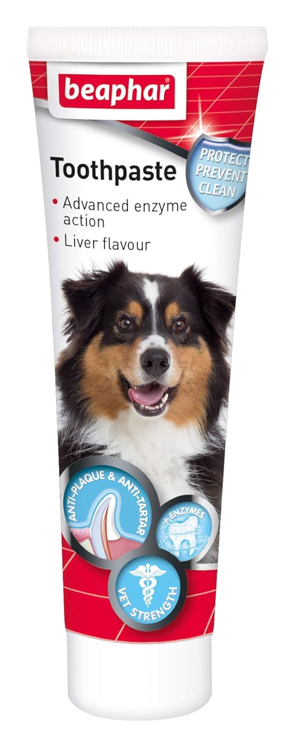 human toothpaste for dogs