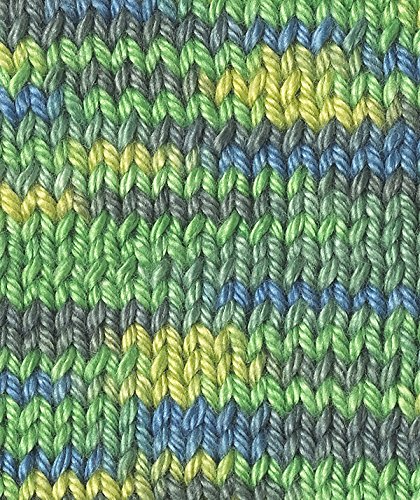 Schachenmayr Catania Color Meadow Print #206