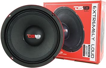 ds18 troublemaker 10