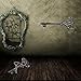 Large Iron Key, 2pcs Skeleton Key Decorative Antique Style Decorative Wine Cellar Key Castle Key Vintage Cast Iron Decorative Key for Home Decor