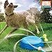 Animal Planet Interactive Outdoor Lawn Pet Sprinkler for Dogs Small & Large, Shower Water Hose Sprayer Attachment, Great Activity for Summer, Baths, Backyard Games and Play
