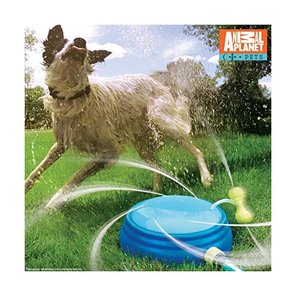 animal planet interactive pet sprinkler