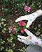 6 Pack HOMWE Gardening Gloves for Women - Assorted Colors - Medium