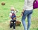 Egtu Hot Baby Safety Walking Harness-Child Toddler Anti-Lost Belt Harness Reins with Leash Kids Assistant Strap Angel Wings Travel Haress for 1-8 Years Boys and Girls