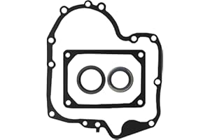HZLXQHZL 697110 795387 Crankcase Gasket & Oil Seal Combo Set for Briggs Stratton