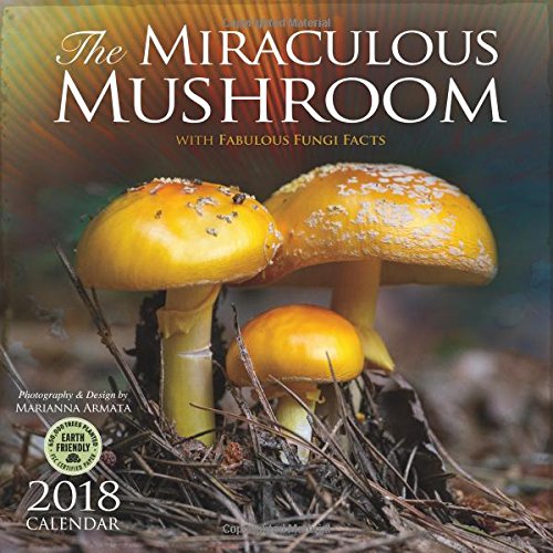 The Miraculous Mushroom 2018 Wall Calendar: With Fabulous Fungi Facts