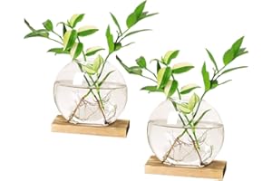 WASAIGGON Plant Propagation Stations Terrarium with Wooden Stand-Desktop Glass Bulb Plant Vase for Propagating Hydroponic Plants Home Garden Office Decor (Style 6)