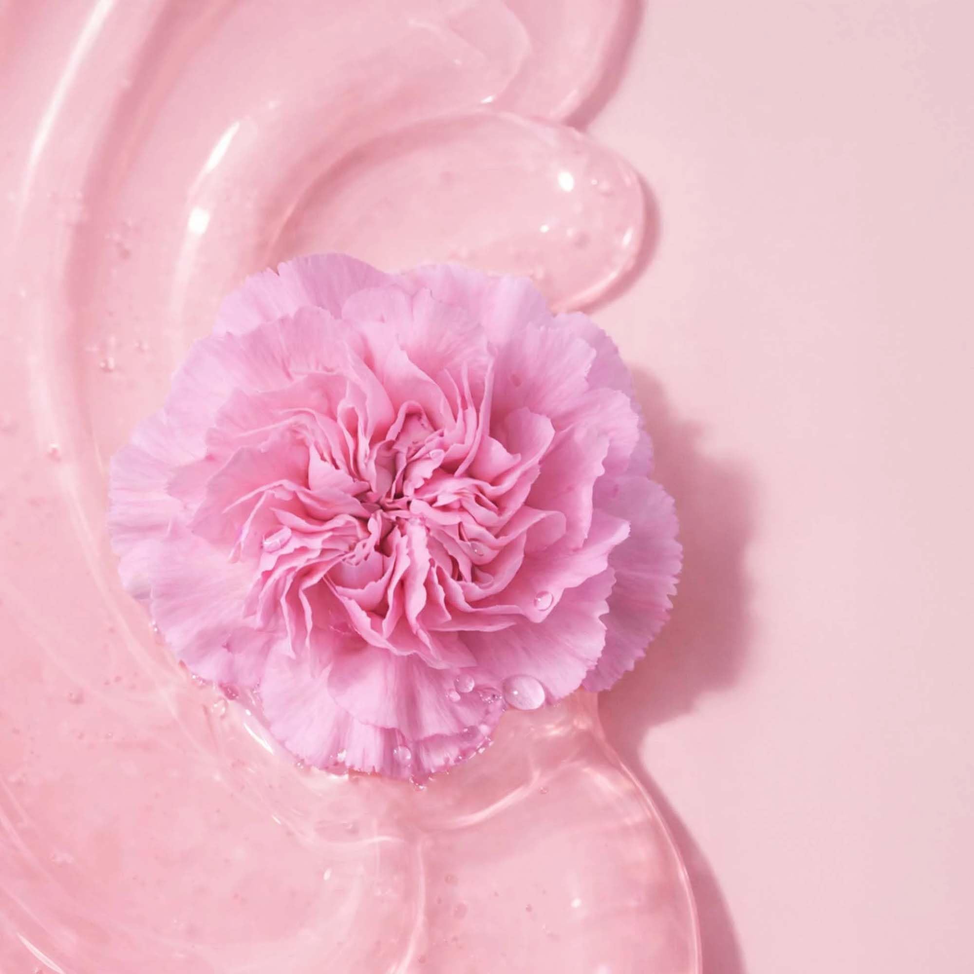 ANNEMARIE BÖRLIND LIP OIL CHERRY BLOSSOM Limited Edition (7 ml) - Pflegendes Lip Oil für Glow & Volumen-Effekt, Lippenöl Mit Wakame-Alge, Marulaöl & Bio-Avocadoöl, Vegan 5