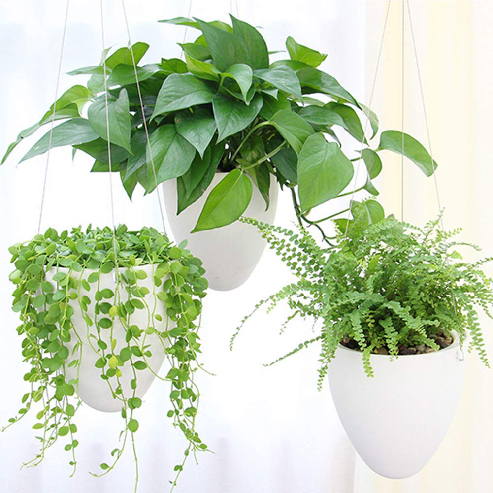 LOYUYU 3 Pack Self Watering Hanging Planter, Succulent Flower Pot Air Plant Holder, Unique Eggshell Hanging Succulent Flower Pots, Home Garden Office Indoor Decorative Container Matte White