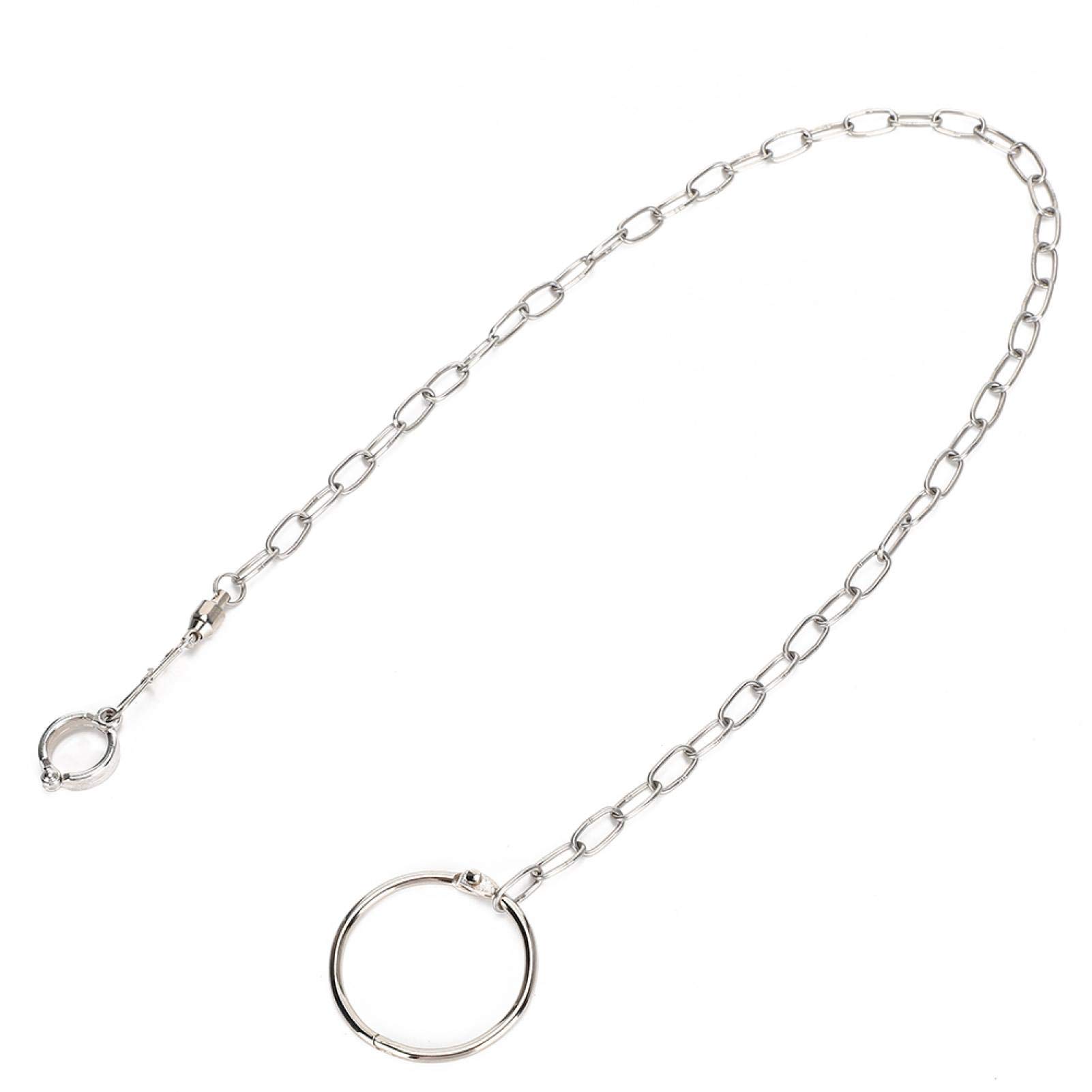 Parrot Foot Chain, Stainless Steel Anklet Ring for Large Medium Parrots Durable Leg Ring and Chain for Pet Birds Durable Leg Ring and Chain for Pet Birds